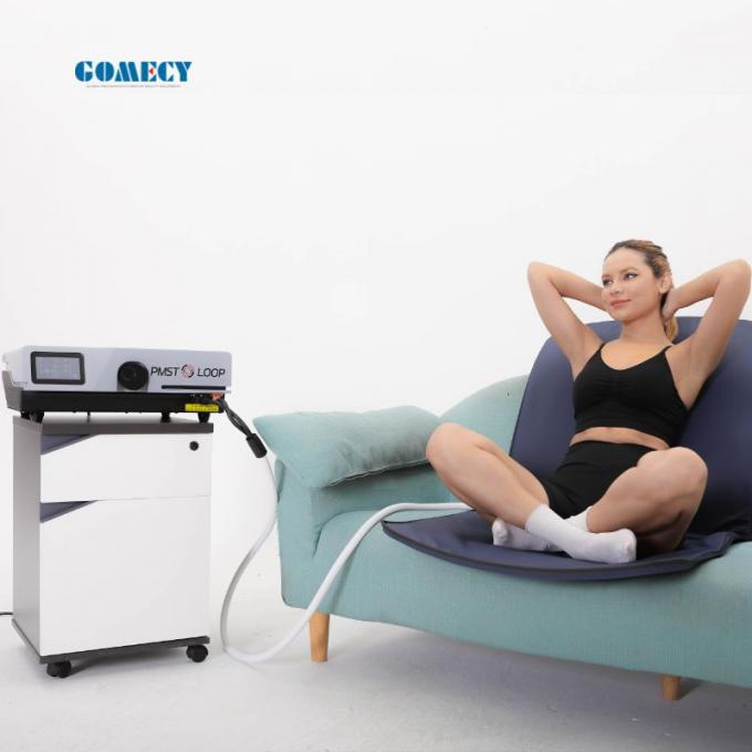 2024 Pemf Physio Magneto Therapy Physiotherapy PMST Loop Pro Pulsed ...