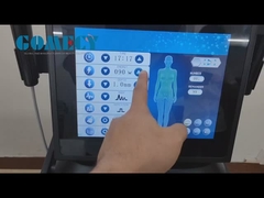 Morpheus8 2 Handles Skin Tightening Fractional Rf Microneedling Machine