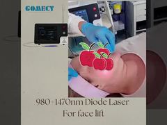 panacea endolaser endolift