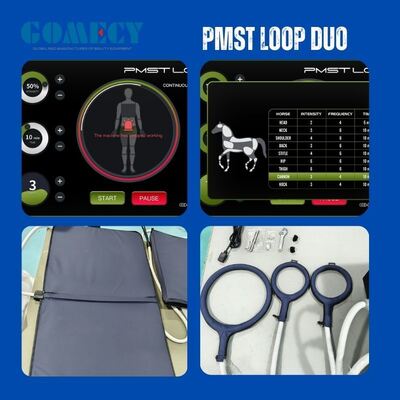 PMST Loop Duo PEMF Therapy Device for Pain Relief & Healing